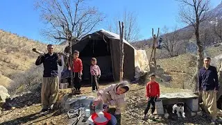 Nomadic Life in the Zagros Mountains | Building a Shelter for a Puppy & Cooking on Wood Fire