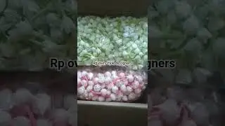 bulk order dispatch #mysoremalli #malli #mullapoo #handmadeflowers #jasmine #artificialflowers