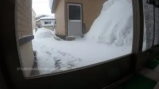 除雪(143) 秋田県横手市 2026年2月3日