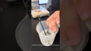 AP Biology - Photosynthesis Lab Procedure Video