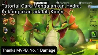 Cara Mengalahkan Behemoth Level 4 Hydra di Game Call Of Dragons Indonesia