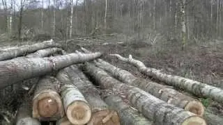 NATUURPUNT: NI GOE BEZIG: over bosexploitatiewerken