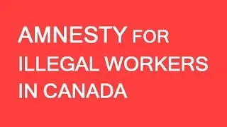 Amnesty for illegal construction workers in Canada. LP Group