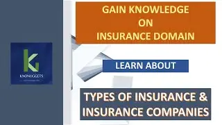 Insurance Domain Training - 4. Types of Insurance & Insurance Companies