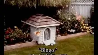 Bingo (1991) bande annonce