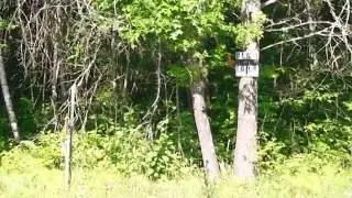 Homes for Sale - Lot 21 Block 1 Stone Brook Acres Pequot Lakes MN 56472 - MARVIN STRONG