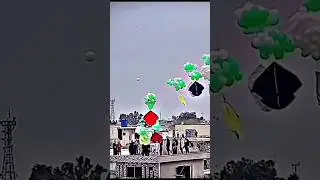14 August kite flying 🇵🇰 #shorts