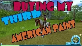 Buying my THIRD New American Paint Horse Star Stable