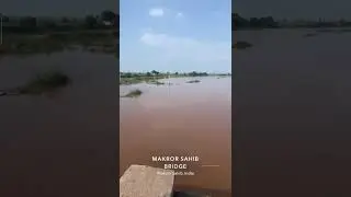 #ghaggar nadi water level today 🌧️😱