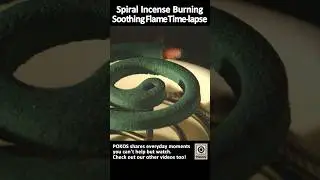 Spiral Incense Burning (Time-lapse) #ambient #spiralincense #incense #fireplace #蚊取り線香 #煙 #観察