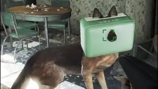 Fallout 76- I always love this glitch
