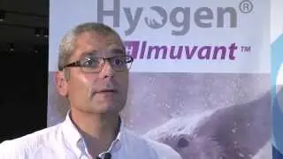 Ceva launches new targeted vaccine to fight respiratory disease in swine