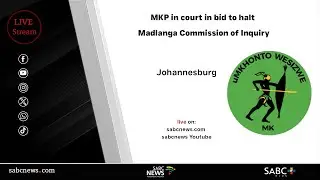 MKP in court in bid to halt Madlanga Commission of Inquiry