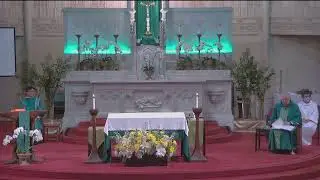 Eleventh Sunday in Ordinary Time  常年期第十一主日 - Old St Mary's Cathedral, SF. 2023