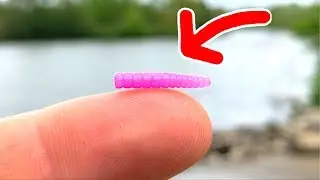 MICROSCOPIC Lure Challenge!!! - The SMALLEST Jig in the WORLD!!