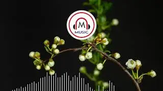 Music &ndash; Daybreak &ndash; Electric Mantis