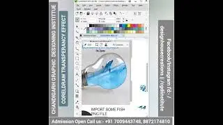 How to use the Transparency tool in Coreldraw | #Coreldraw tutorial #viralreels