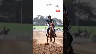 International Style tentpegging championship #newsong #horse #horserider #nezabaazi #photography