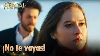Azat suplica: “¡No te vayas, Gönül!” | Hercai