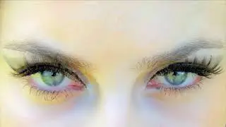Need Your Love So Bad (Mertis John Jr. / Fleetwood Mac), Blueshades version