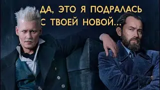 [ гельбус - соперница ] | гриндевальд / дамблдор | #гельбус #фантастическиетвари