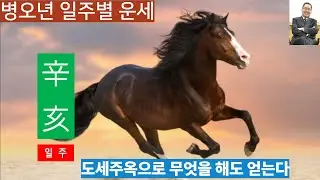 병오년운세ㅣ신해일주, 도세주옥으로 지혜총명하니 뭐를 해도 기본 이상을 한다