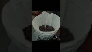 EXTREME Coffee with Madhura ECO is the BEST Morning Routine! |  #trendingshorts #viralvideo