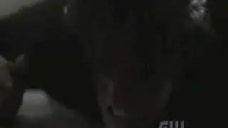 The Howling