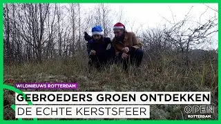 Gebroeders Groen ontdekken de echte kerstsfeer in de Rotterdamse stadsnatuur |  WildNieuws Rotterdam