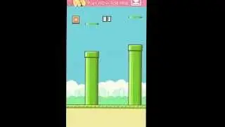 Highest score ever in flappy bird! 300+!