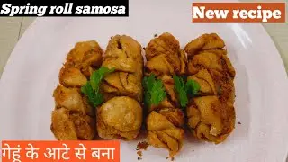 Crispy Paneer Samosa Roll recipe| पनीर समोसा रोल कैसे बनाए। गेहूं के आटे से पनीर समोसा रोल रेसिपी।