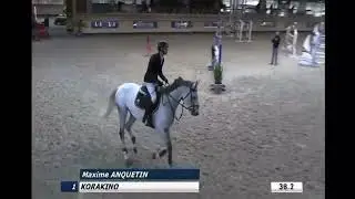 Cheval &agrave; vendre - Jument 10 ans KWPN - equirodi.com