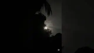 Moonlit night, trees framing a glowing full moon. 🌙🌲 #moon  #forestwhispers #nature #viral