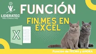 Funci&oacute;n FIN.MES en EXCEL