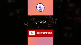 Islamic Lectures | Muslim TikTok | Dawah | Taqwa #shorts