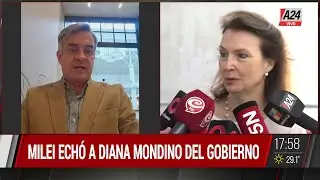 📢MILEI ECHÓ A DIANA MONDINO POR EL VOTO DE ARGENTINA A FAVOR DE CUBA Y LA REEMPLAZA GERARDO WERTHEIN