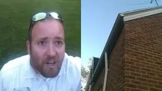 Home Bat Inspection