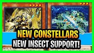Новая карта Constellar, Constellar Caduceus + новая поддержка насекомых, новые карты YuGiOh 2020