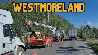 Travelling from Pertersfield to Whitehouse in Westmoreland | 876 By Birth