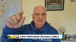 DAN NA DAN 27.01.2026. - GOSTI MILAN MILOVIĆ I BOŽIDAR SPASIĆ