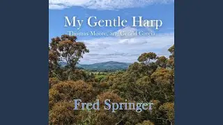 My Gentle Harp