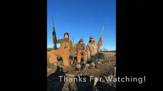 Goose Hunting 2021- Landing 200+ Geese in Vermont