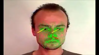 3D Gaze Tracking