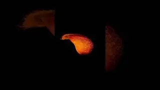 First mass extinction and creation of the moon? #astronomy #space #elonmusk #moon