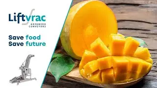 LIFTVRAC : Elevation of frozen diced mango