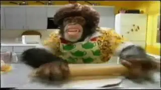 PG Tips Chimpanzee TV commercial ~ Old!