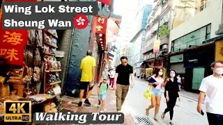 Wing Lok Street, Sheung Wan Western District Hong Kong 4k Walking Tour🇭🇰