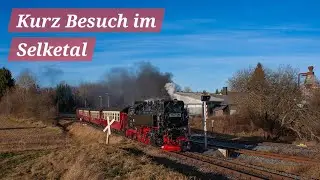 Jahresende im Selketal | Harzer Schmalspurbahnen