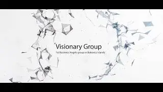 Visionary Group