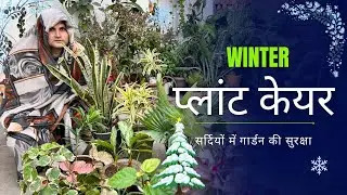 Winter-Proof Your Plants 🪴🥶Essential Care Tips ❄️ ठंड से पौधों को बचाने का तरीका